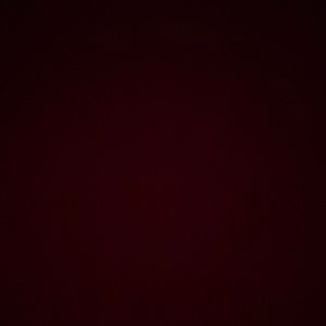 BigMouth beer belt 6 pack Holster